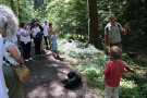 Gruppe steht im Wald