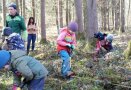 Mädchen gräbt mit Spaten im Waldboden