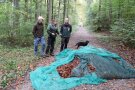 Drei Personen stehen vor Bucheckernernte
