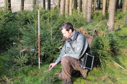 Ein Förster kniet im Wald in einer Fichtenverjüngung bei der Vegetationsaufnahme