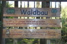 Informationstafel "Waldbau"