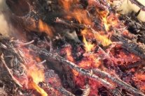 Holzfeuer